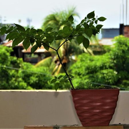 Flor Del Valle Posada 塔拉波托 外观 照片